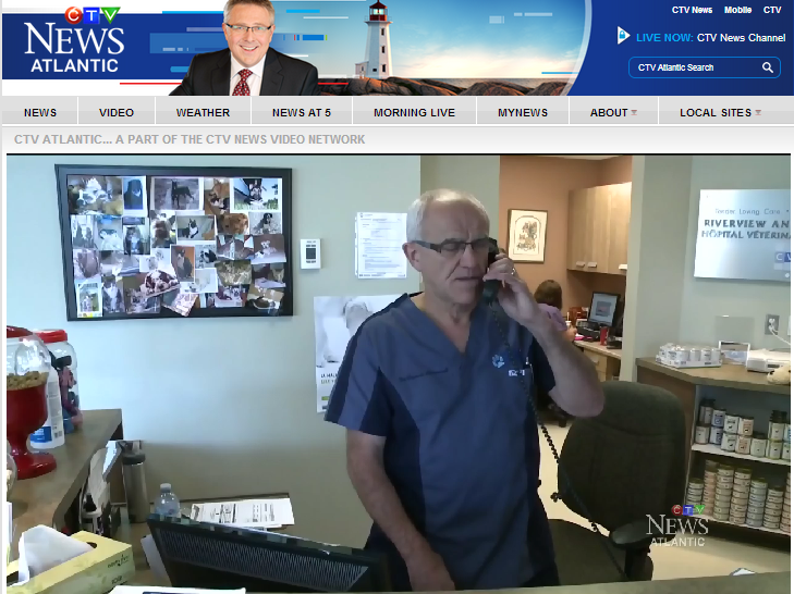 Screenshot of Riverview Animal Hospital segment on CTV News website